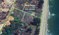 CHUYỂN NHƯỢNG 6000 M2 ĐẤT MẶT TIỀN LẠC LONG QUÂN VÀ MẶT TIỀN BIỂN, ĐẤT VUÔNG VỨC NỞ HẬU, THỔ CƯ NHIỀU.