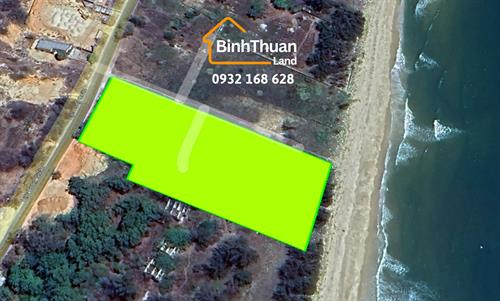 LÔ ĐẤT BIỂN HIẾM 6000 M2 GẦN NOVAWORLD PHAN THIẾT, CÓ THỔ CƯ VỚI HÀNG DƯƠNG XANH VÀ BÃI CÁT DÀI TUYỆT ĐẸP