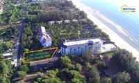 ✨ CHỈ GẦN 9 TRIỆU/M² - ĐẤT MẶT TIỀN LẠC LONG QUÂN - BÊN CẠNH RESORT 4⭐ SONATA TIẾN THÀNH ✨