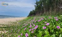 ✨ SIÊU PHẨM ĐẤT BIỂN HIẾM GẦN NOVAWORLD PHAN THIẾT - QUỸ ĐẤT ĐẸP VỚI VỊ TRÍ VÀ TIỀM NĂNG VƯỢT TRỘI ✨