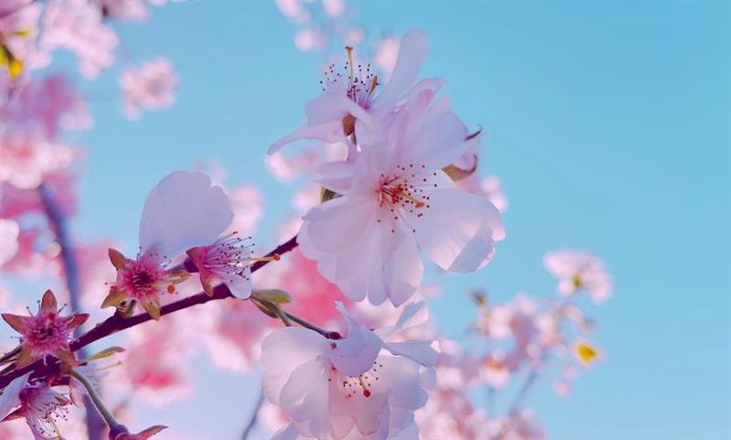 Thị trường bất động sản 